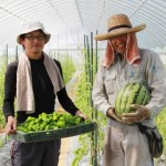 秋野菜てんこもり