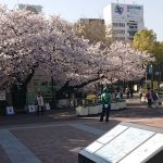 春ときどき桜、ときどきお城。