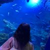 水族館のススメ♪
