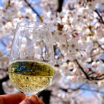 春に飲みたい！桜を楽しむ美味しいお酒4選